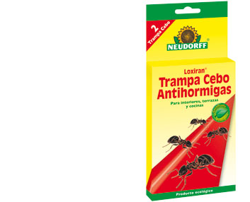 Una trampa cebo antihormigas ecológica